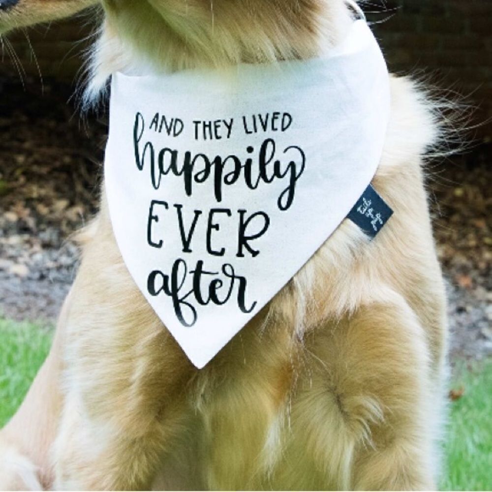 Elegant Dog Wedding Collar Accessory